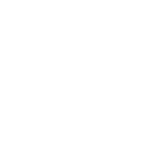 Data Privacy and Security